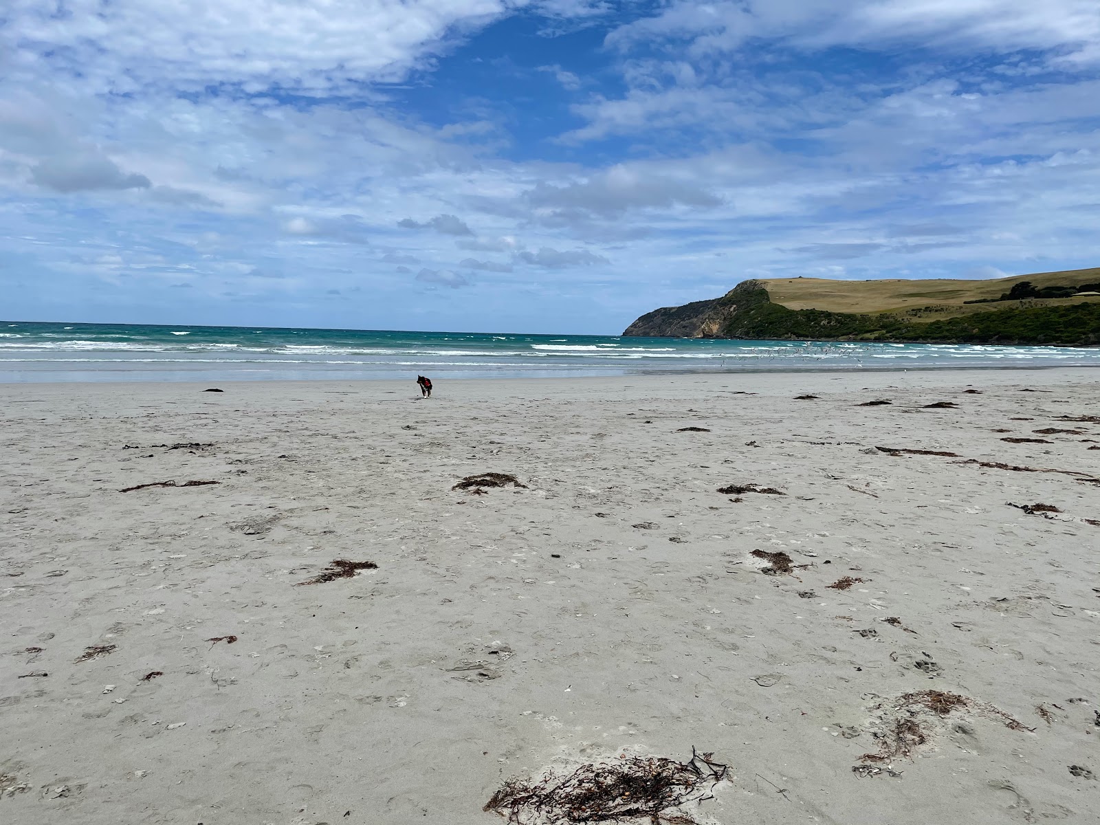 Zdjęcie Shelly Beach, Victoria otoczony górami