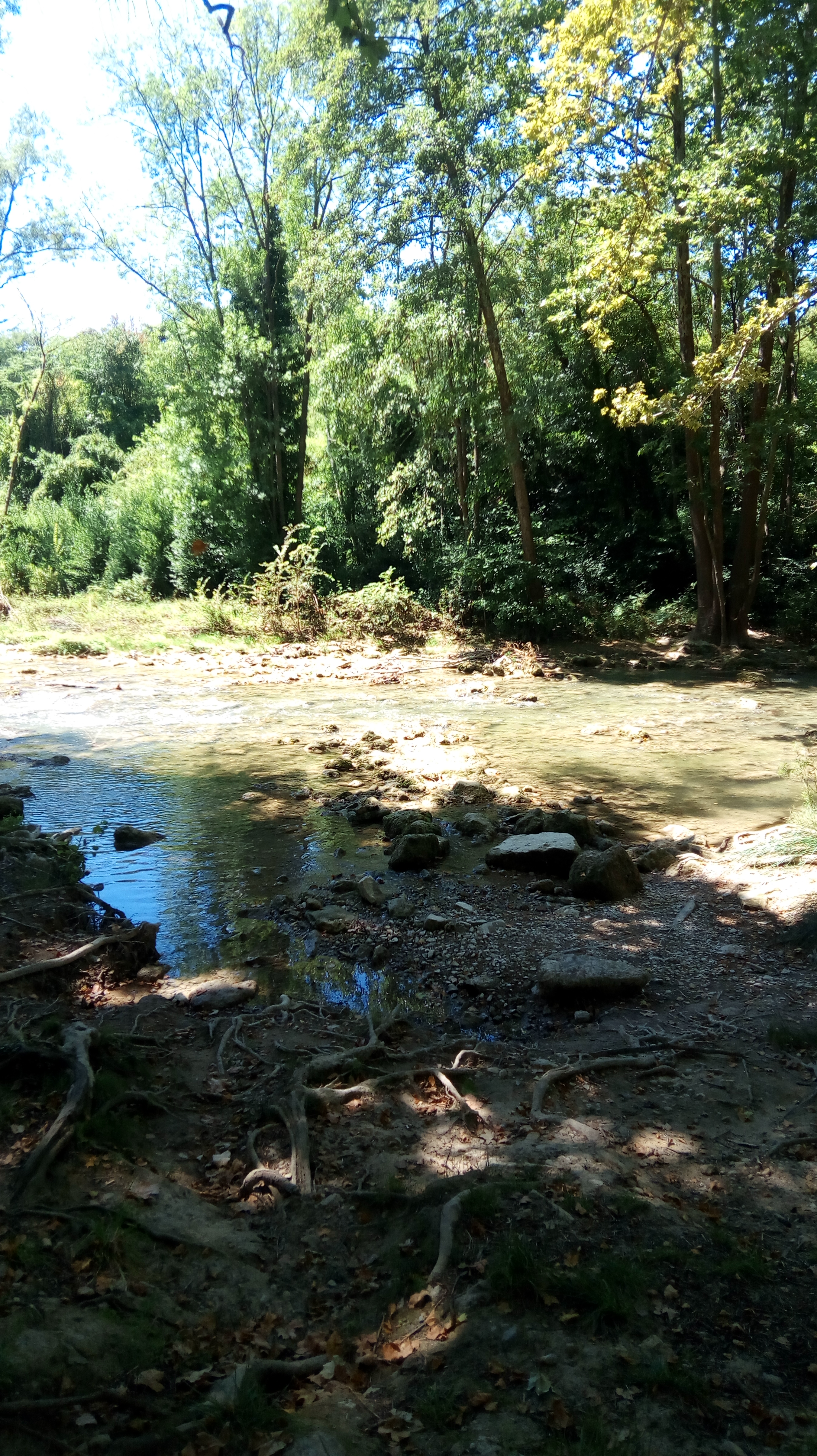 Photo n° 13 de l'avis de balades. fait le 11/07/2018 à 13:22