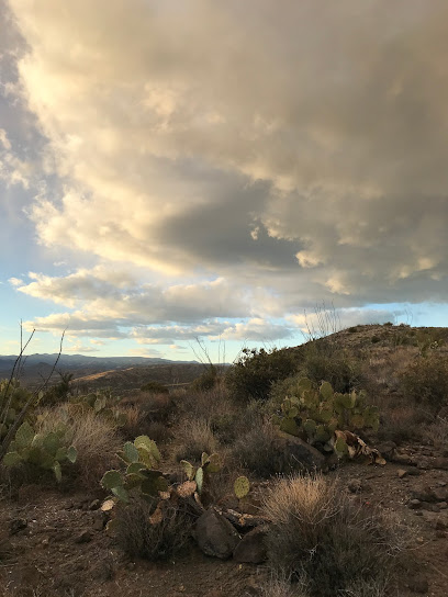 Castle Creek Wilderness