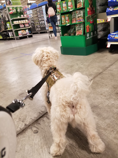 Pet Supply Store «PetSmart», reviews and photos, 850 W Hamilton Ave, Campbell, CA 95008, USA