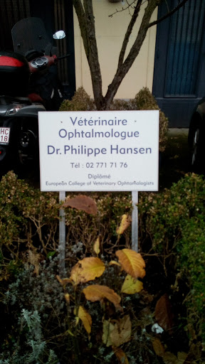 Dr Hansen Ph Vétérinaire Ophtalmologue