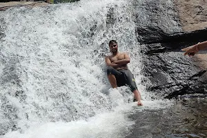 Peedikkappara Waterfall image
