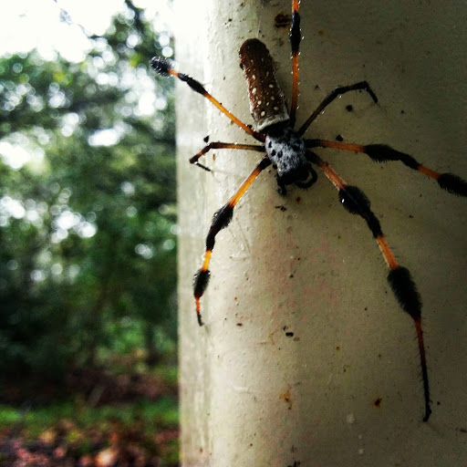 Park «John Williams Park», reviews and photos, 6101 Sheridan St, Hollywood, FL 33021, USA