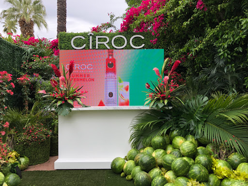 King Size LED Rentals and Sales image