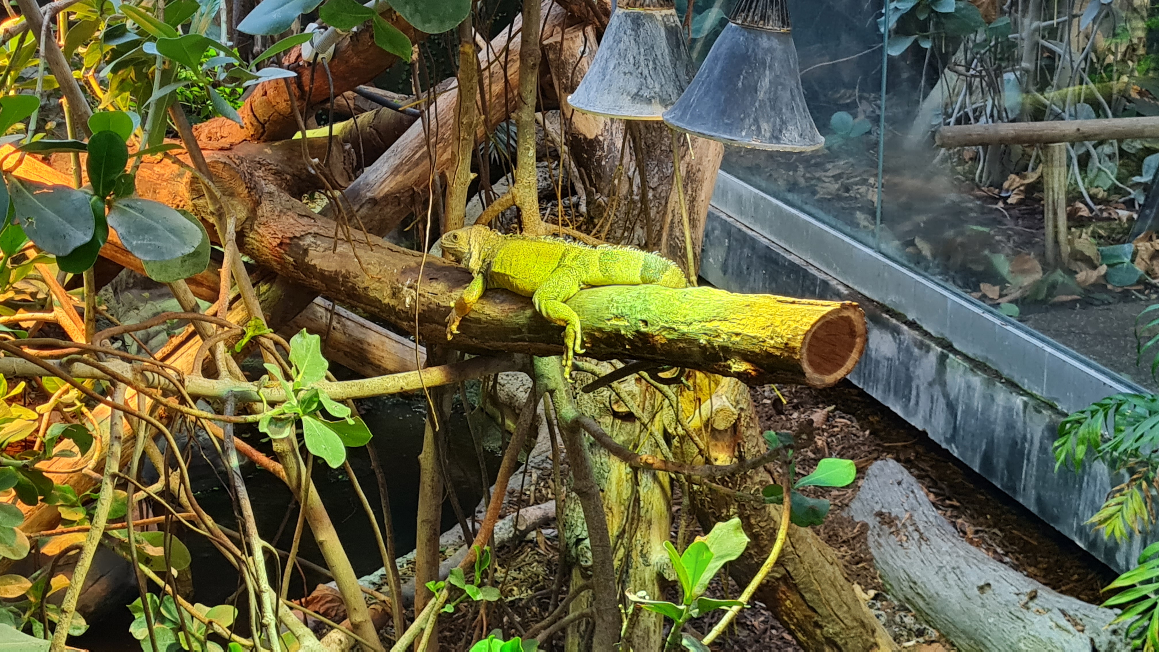 Photo n° 8 de l'avis de Thierry.u fait le 14/10/2023 à 18:57