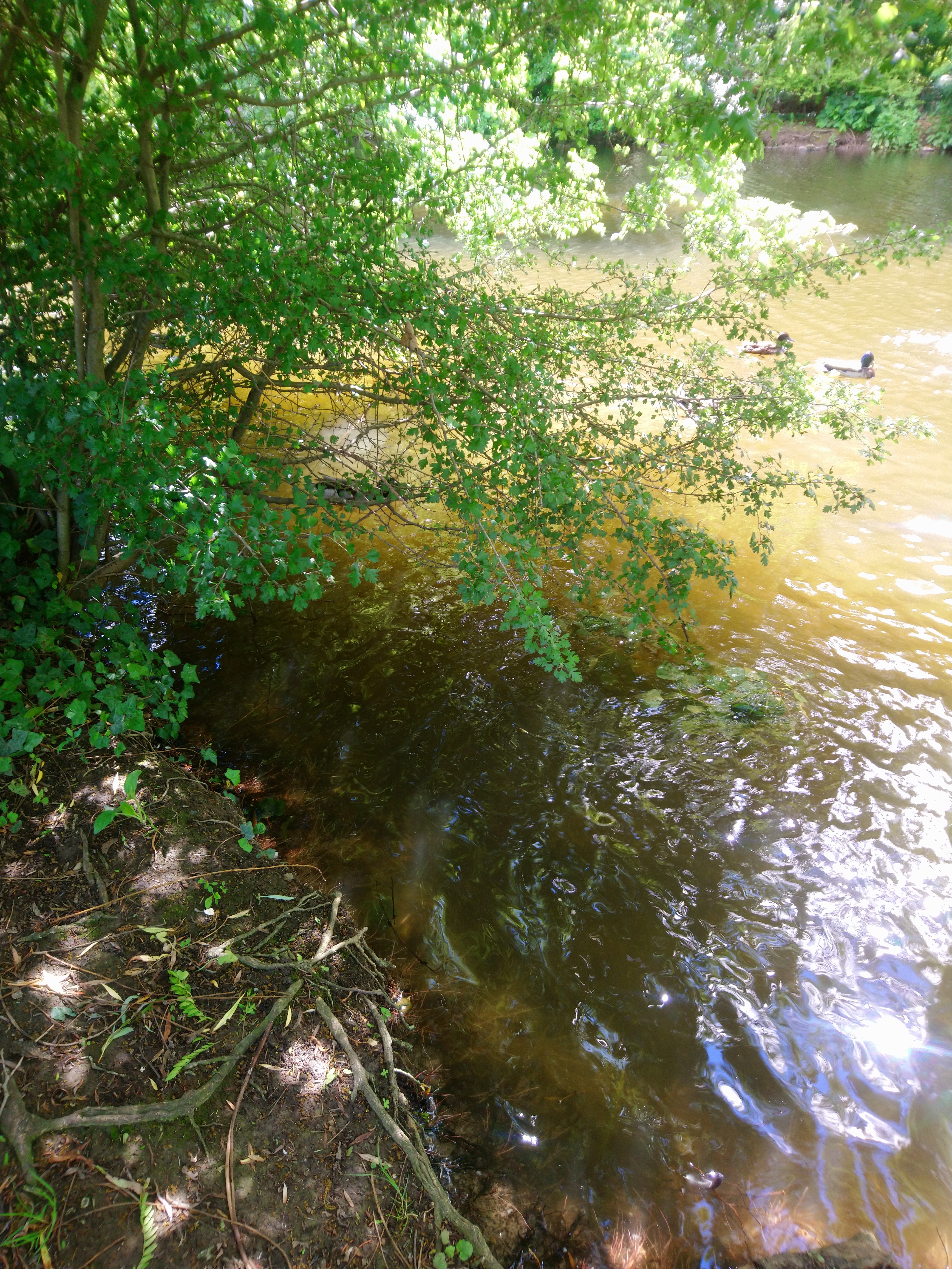 Photo n° 10 de l'avis de Lucien.e fait le 10/06/2019 à 14:26