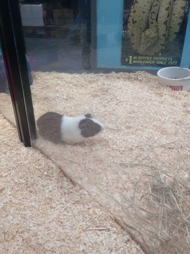 Animal Feed Store «Franklin Hardware & Pet Center», reviews and photos, 1975 Philadelphia Ave, Chambersburg, PA 17201, USA