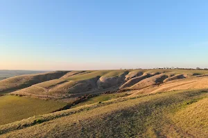 Roundway Down Iron Age Hill Fort image