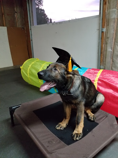 Happy Family Pets LLC