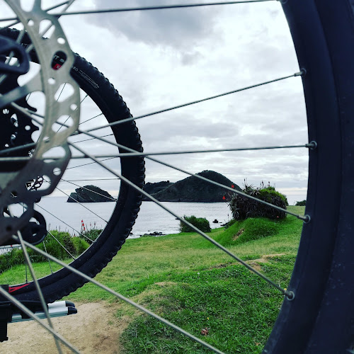 Comentários e avaliações sobre o AzorOnBike