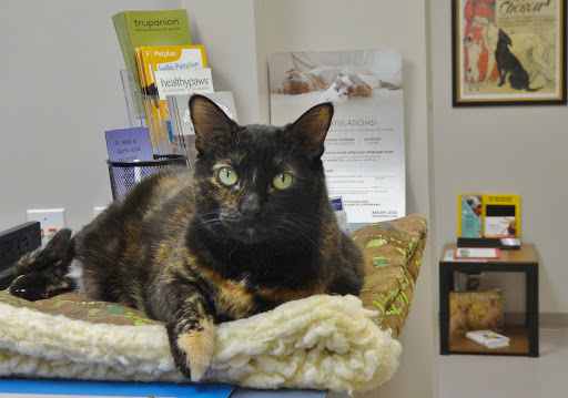 Mahomet Animal Hospital