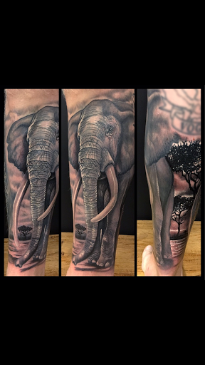 Tattoo Shop «TATTOO 13», reviews and photos, 29602 Orchard Lake Rd, Farmington Hills, MI 48334, USA