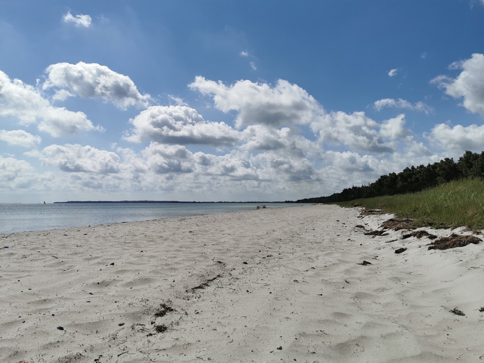 Fotografie cu Fed Beach - locul popular printre cunoscătorii de relaxare
