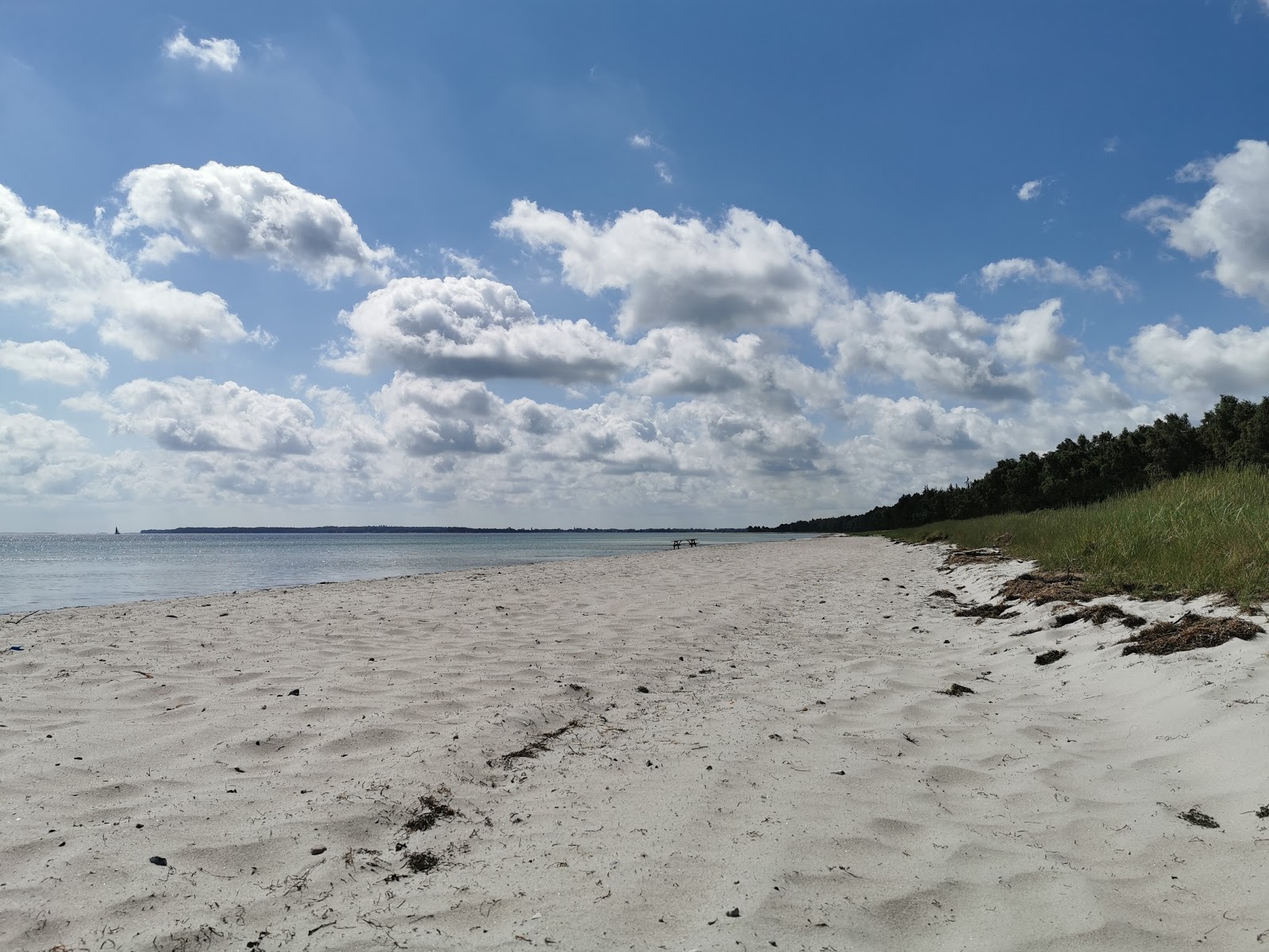 Fed Beach photo #7