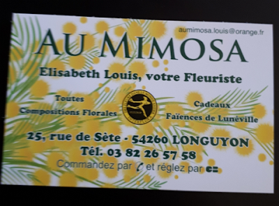 AU MIMOSA à Longuyon