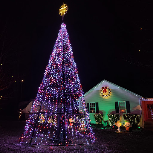 The Christmas Family Lights