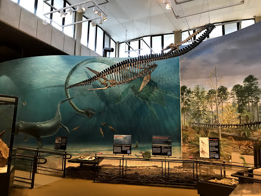 Natural History Museum «Burke Museum of Natural History and Culture», reviews and photos, 1413 NE 45th St, Seattle, WA 98105, USA