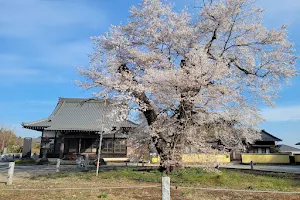Kankiji Temple image