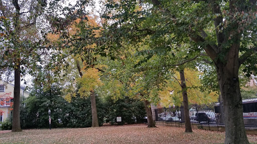 Museum «Princeton University Art Museum», reviews and photos, Elm Dr, Princeton, NJ 08544, USA