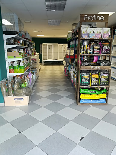 Animal Market - Fuenlabrada