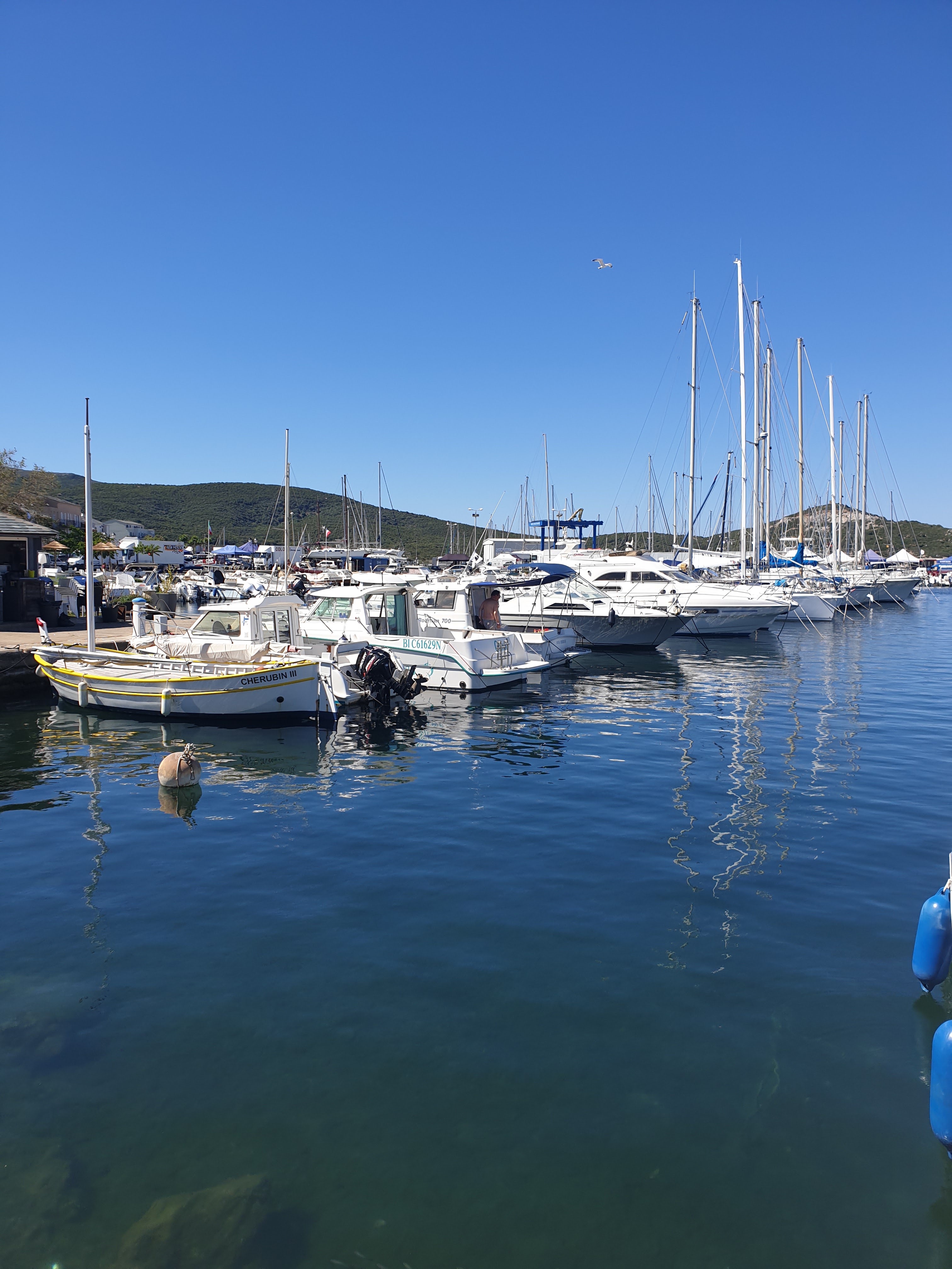 Photo n° 4 de l'avis de F.O fait le 13/06/2019 à 16:42