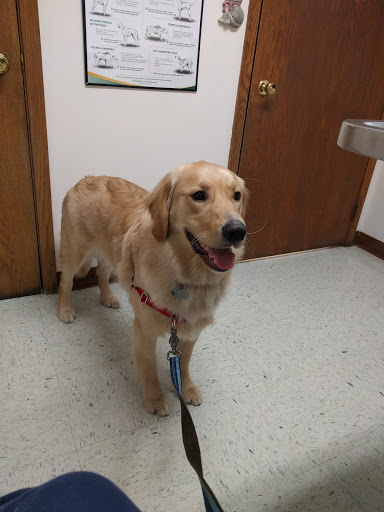 6941 Lake Dr, Lino Lakes, MN 55014, USA