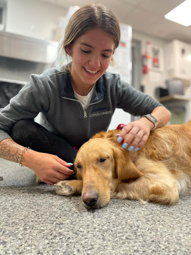 Budd Lake Animal Hospital image