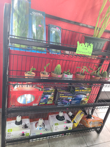 Pet Store «CUSTOM CREATURES PET SHOP», reviews and photos, 10727 N 19th Ave, Phoenix, AZ 85029, USA