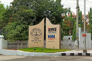ICMR - National Institute of Nutrition image