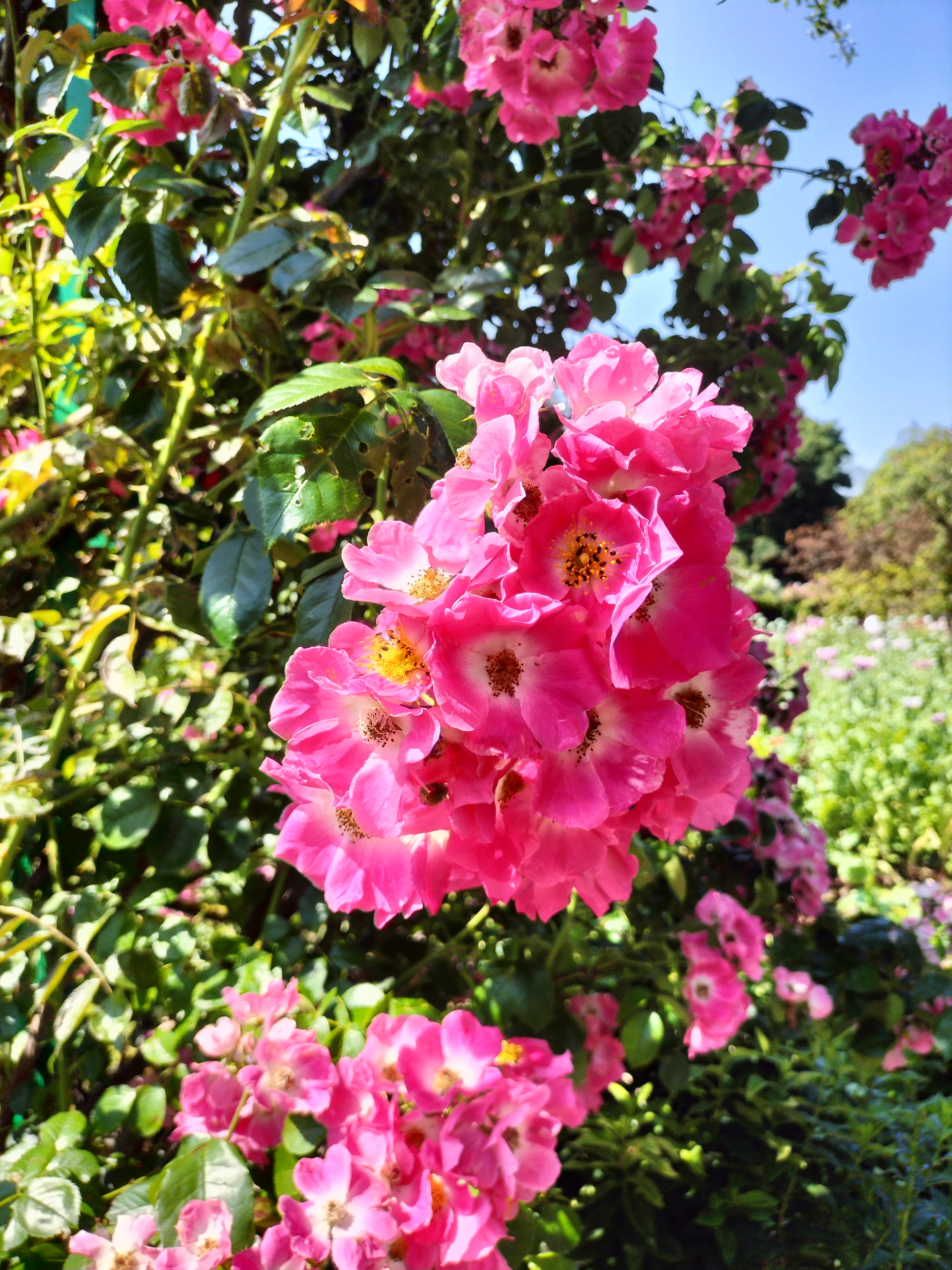 Photo n° 3 de l'avis de didier.e fait le 15/06/2023 à 13:38