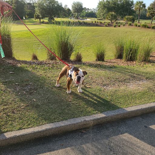 Golf Club «Legacy Club At Alaqua Lakes», reviews and photos, 1700 Alaqua Lakes Blvd, Longwood, FL 32779, USA