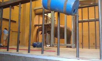 Photos of The Buffalo Zoo