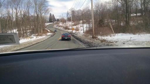 Stadium «Palisades Credit Union Park», reviews and photos