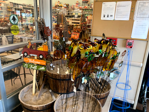 Home Goods Store «Christmas Tree Shops», reviews and photos, 2350 Lincoln Hwy E, Lancaster, PA 17602, USA