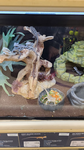 Pet Supply Store «PetSmart», reviews and photos, 467 Cross Keys Rd, Sicklerville, NJ 08081, USA