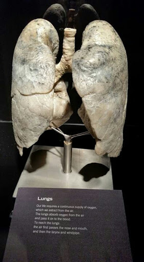 Museum «Portland Science Center», reviews and photos, 68 Commercial St, Portland, ME 04101, USA