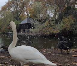 Hofgarten photo