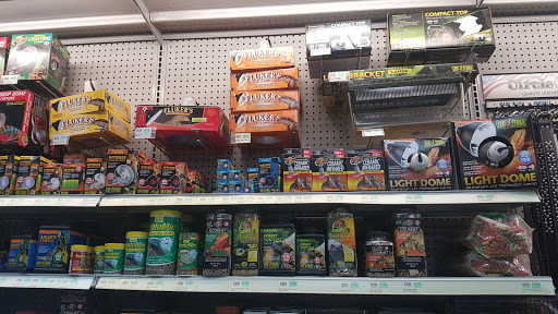 Pet Store «Petland South Orlando», reviews and photos, 3920 S Semoran Blvd, Orlando, FL 32822, USA