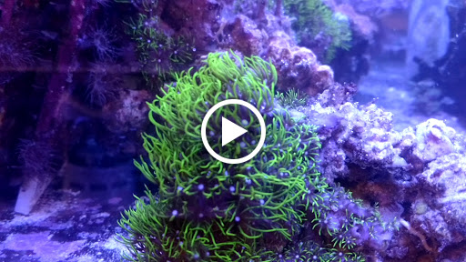 Pet Store «Pet Central», reviews and photos, 1200 Smallhouse Rd, Bowling Green, KY 42104, USA