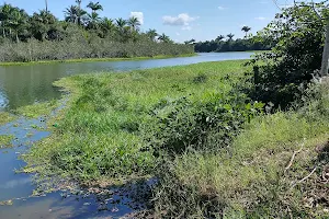 São Mateus River image