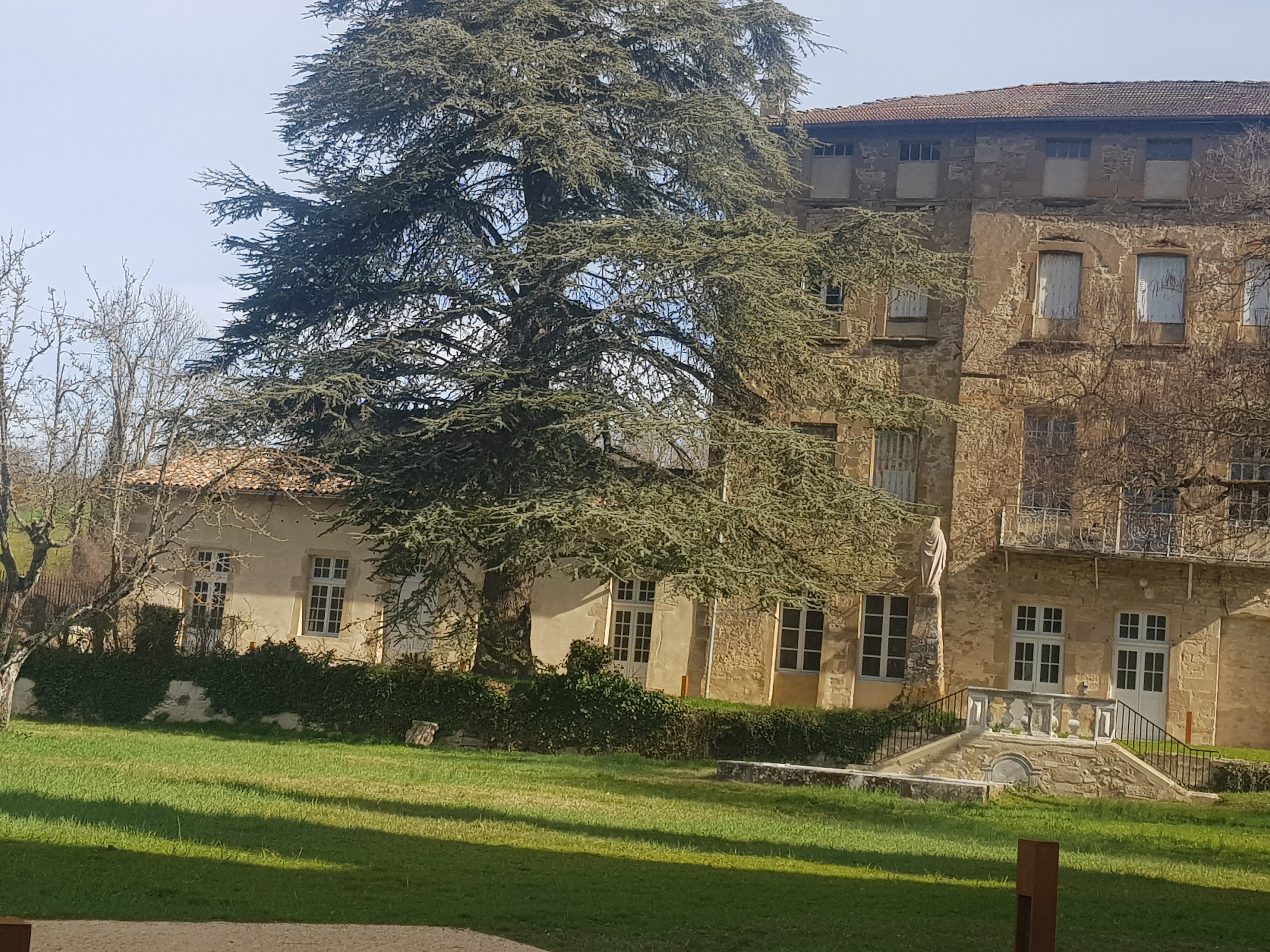 Photo n° 11 de l'avis de C..a fait le 16/03/2022 à 18:41