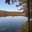 Nescopeck State Park