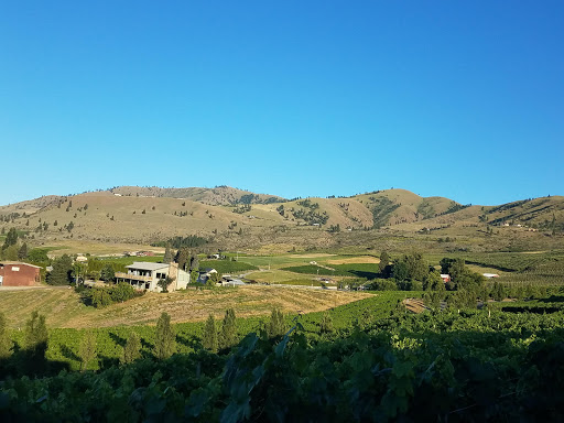 Winery «Fielding Hills Winery», reviews and photos, 565 S Lakeshore Rd, Chelan, WA 98816, USA