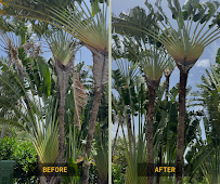 Landscape Genie of Fort Lauderdale - Photo 3 - Car repair in , Fort Lauderdale