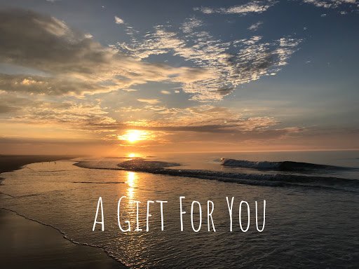 Surf Shop «Primal Surf», reviews and photos, 3106 Revere Blvd, Brigantine, NJ 08203, USA