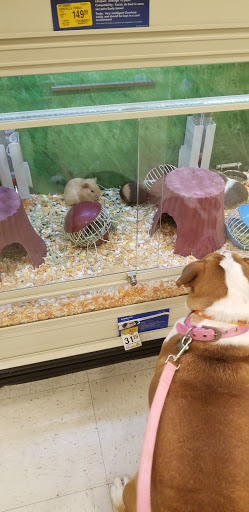 Pet Supply Store «PetSmart», reviews and photos, 11331 Causeway Blvd, Brandon, FL 33511, USA