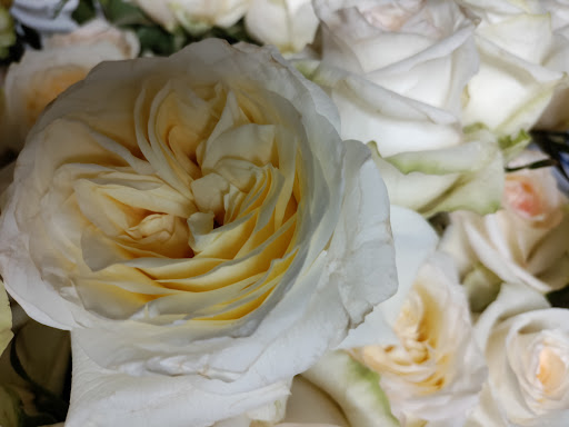 Wholesale Florist «Pennock Floral Tri - State Co», reviews and photos, 7135 Colonial Ln, Pennsauken Township, NJ 08109, USA