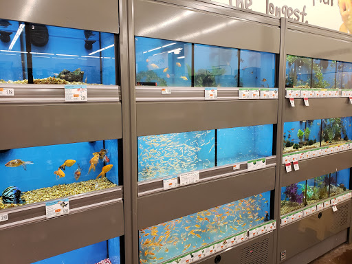 Pet Supply Store «Pet Supplies Plus», reviews and photos, 375 Paterson Ave #105, Wallington, NJ 07057, USA