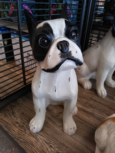 Home Goods Store «Tuesday Morning», reviews and photos, 994 Tupelo Commons, Tupelo, MS 38804, USA