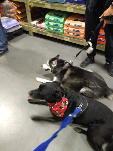 Pet Supply Store «Care-A-Lot Pet Supply Indian River», reviews and photos, 5457 Indian River Rd, Virginia Beach, VA 23464, USA